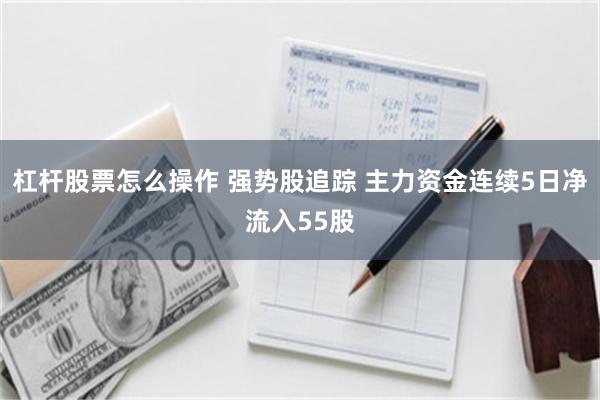 杠杆股票怎么操作 强势股追踪 主力资金连续5日净流入55股