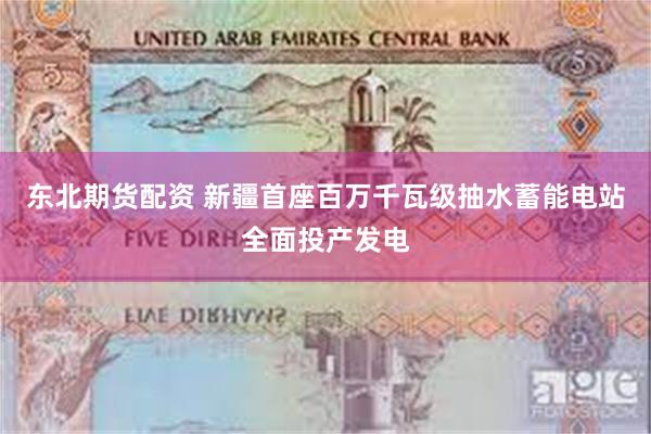 东北期货配资 新疆首座百万千瓦级抽水蓄能电站全面投产发电
