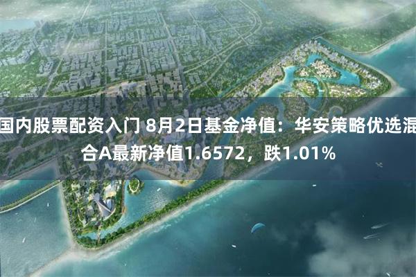 国内股票配资入门 8月2日基金净值:华安策略优选混合A最新净值1.6572,跌1.01%