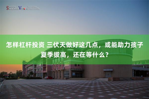怎样杠杆投资 三伏天做好这几点,或能助力孩子夏季拔高,还在等什么?