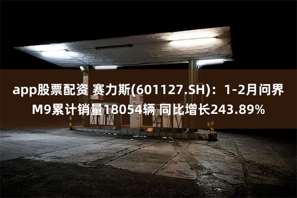 app股票配资 赛力斯(601127.SH):1-2月问界M9累计销量18054辆 同比增长243.89%