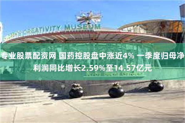 专业股票配资网 国药控股盘中涨近4% 一季度归母净利润同比增长2.59%至14.57亿元