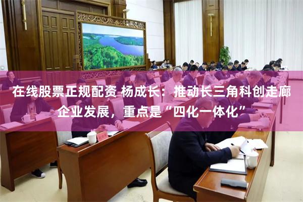 在线股票正规配资 杨成长:推动长三角科创走廊企业发展,重点是“四化一体化”
