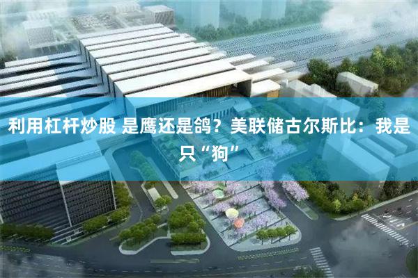 利用杠杆炒股 是鹰还是鸽?美联储古尔斯比:我是只“狗”