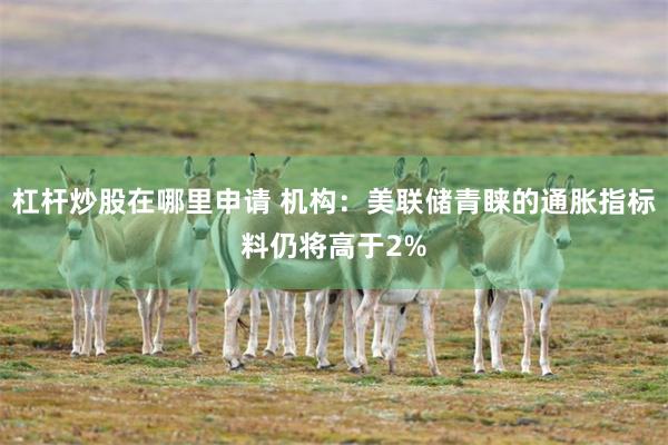 杠杆炒股在哪里申请 机构:美联储青睐的通胀指标料仍将高于2%