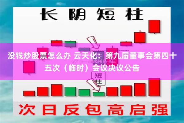 没钱炒股票怎么办 云天化：第九届董事会第四十五次（临时）会议决议公告