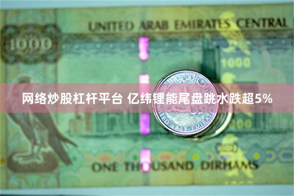 网络炒股杠杆平台 亿纬锂能尾盘跳水跌超5%